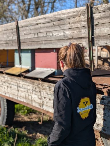 Durchsicht der Bienenvölker am Feld in Mannheim-Friedrichsfeld Durchsicht der Bienenvölker