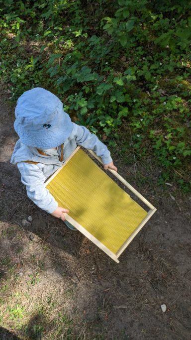 Unterstützung bei der Bienenarbeit in Mannheim Unterstützung bei der Bienenarbeit