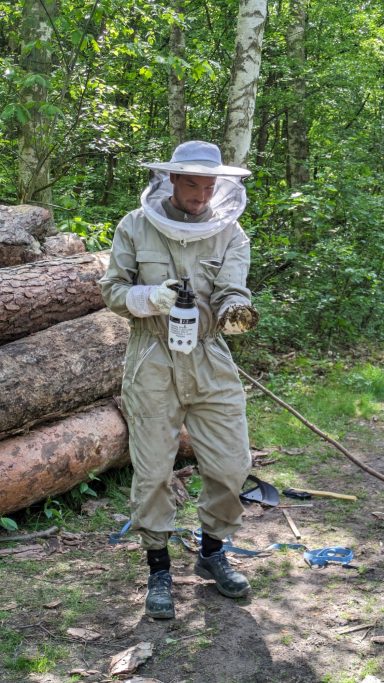 Bienenschwarm-Fang im Mannheimer Wald Bienenschwarm-Fang in Mannheim